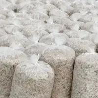 چغندر و تفاله چغندر|عمده‌فروشی|میاندوآب, |دیوار