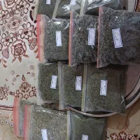 کاملا ارگانیک