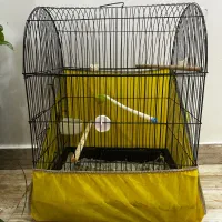 قفس شیک و‌ تمیز