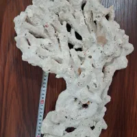 سنگ آکواریوم آبشور، آب شور