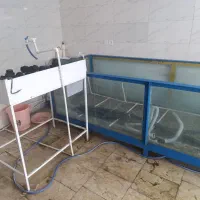 دو عدد اکواریوم جهت ماهی فروشی با میر کار|ماهی|آمل, |دیوار