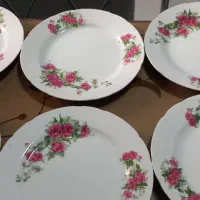 بشقاب چینی گل سرخی|ظروف سرو و پذیرایی|رشت, رشتیان|دیوار