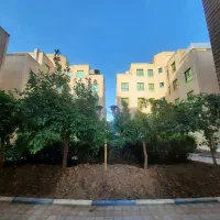 باغچه-نقلی