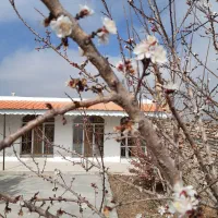 فروش منزل ویلایی شیک یامعاوضه باآپارتمان درمشهد