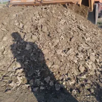 کود مرغ گوشتی سقز