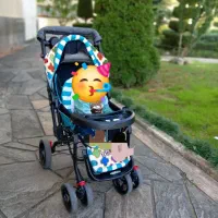 کالسکه دلیجان در حد