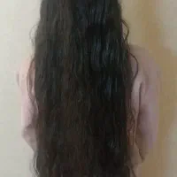مرکز اصلی
