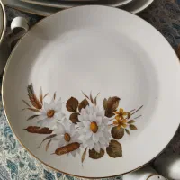 ظرف|ظروف سرو و پذیرایی|تهران, زاهد گیلانی|دیوار