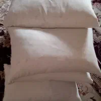 بالشت‌پر