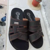 گفش کار داریم گفش بالا  داریم