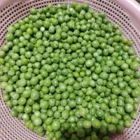 نخود فرنگی پاک شده تازه 600