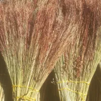 جارو اماده رسیده|لوازم نظافت|رومشکان, |دیوار