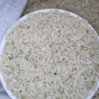 فروش برنج کامفیروزی اصل درجه یک|خوردنی و آشامیدنی|صدرا-فارس, فاز ۱|دیوار