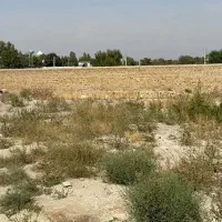 زمین-چسب-بافت