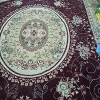 یک عدد فرش۱۲متری.پرزبلند.اقساط|فرش|شاهرود, |دیوار