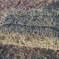 پرس یونجه