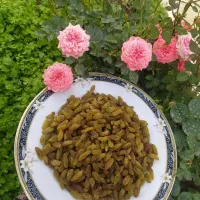 کشمش و مویز و کشمش پلویی