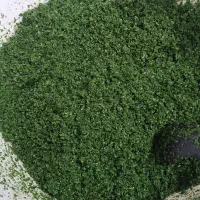 انواع سبزی خورشتی ،کوکو،آش،پلو ،دلمه قلیه