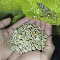 دان پرواری درجه یک به قیمت شرکت
