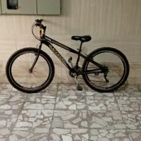 دوچرخه‌ اصل