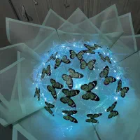 پروانه ای کادویی
