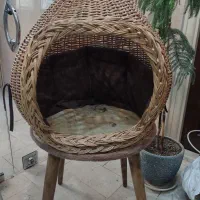 لانه و خانه گربه