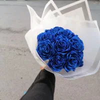 گل جاودانی|گل مصنوعی|کرمانشاه, |دیوار