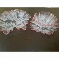 ظروف پذیرایی