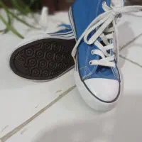کفش|کیف، کفش، کمربند|کرج, ساماندهی|دیوار