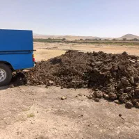 کود حیوانی گاو وگوسفند