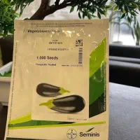 بذر بادمجان ۱۵۷۴ گلخانه ای شانتال آرلن تعاونی