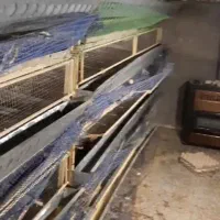 فروش قفس کبک و بلدرچین