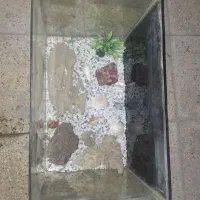فروش آکواریوم با وسایل کامل