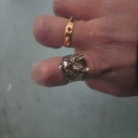 باسلام‌یک‌عدد‌انگشتر‌گرگی‌وسه‌تیغه‌به‌فروش‌‌میرسد