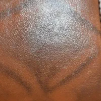 کیف مدارک‌ گم شده به نام علی سلمانی