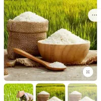 برنج شمال طارم صدری