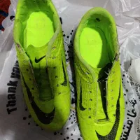 استوک سالنی