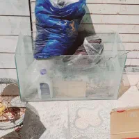 آکواریوم شیشه ای استاندارد