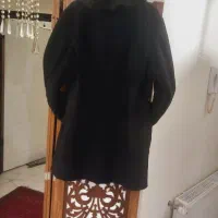 پالتو پوست|لباس|پرند, فاز ۶|دیوار