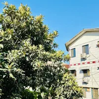 فروش ویلایی شیک با حیاط بزرگ