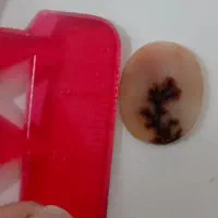 شجر(رنگی)|جواهرات|زنجان, |دیوار