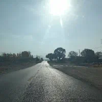 دارو های گیاهی و کوهی