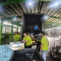 استخدام پرسنل برای کار در شرکت معتبر|استخدام صنعتی، فنی، مهندسی|رشت, لاکان|دیوار