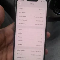 13 پرومکس 256 گیگ دوسیم کارت