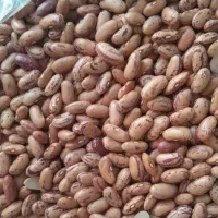 حبوبات لوبیا چیتی کیلو ۲۸۰ تومان رسید.