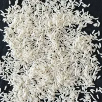فروش برنج طارم هاشمی اصل فریدونکنار در کرج