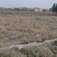 زمین-کشاورزی-قرچک