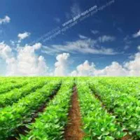 کار کشاورزی با اکیپ مجرب