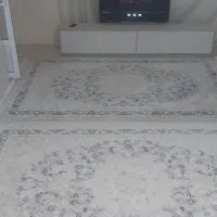 فرش ۶متری نو نو|فرش|قدس, شهرک فرزان|دیوار