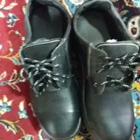 کفش ایمنی تمام چرم زیره پیو|کیف، کفش، کمربند|دلبران, |دیوار